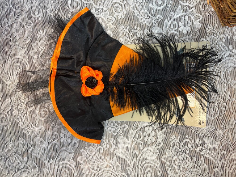 Doggie Duds Witch Hat Marabou Collar Pet Halloween Costume Vo-Toys